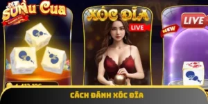 Cách Đánh Xóc Đĩa