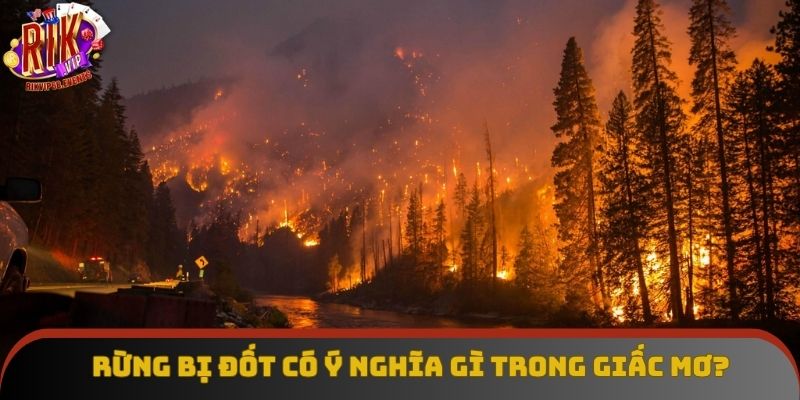 Hình ảnh này cho thấy sức sáng tạo của bạn đang bị kiềm toả