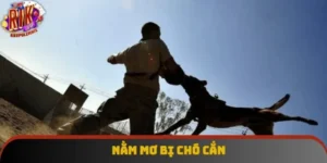 Nằm Mơ Bị Chó Cắn